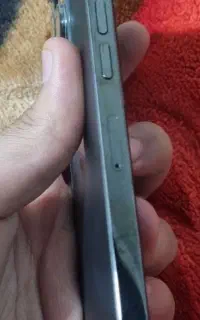 شادگان