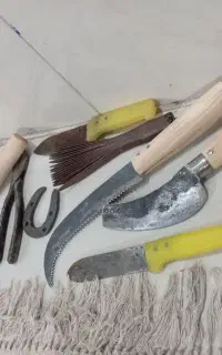 نعل اسب