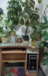 میز کامپیوتر