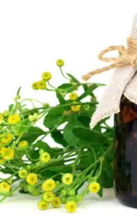 عرق شاسپران ،نعنا،کاکوتی غلیظ