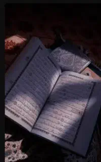 کتاب فال