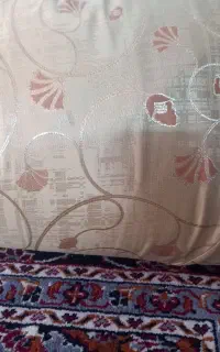 بالش