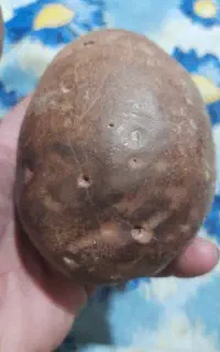 فروش سنگ مغناطیسی