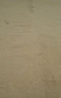 موکت