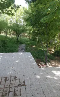 نیازمند نیروی کار