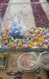 تنگ و وسایل ماهی