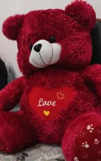 خرس ولنتاین