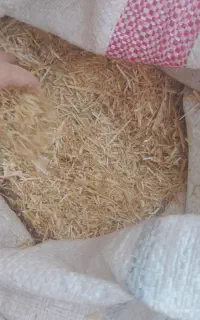 کاه(خرمن کوب)بیله سوار
