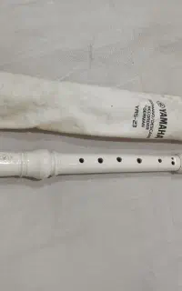 فلوت