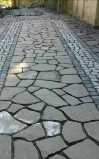 بنا سفت کار تمام مشهد