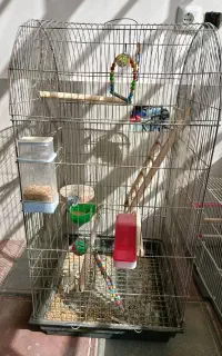قفس پرنده