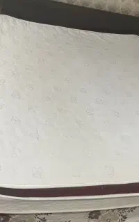 تشت طبی