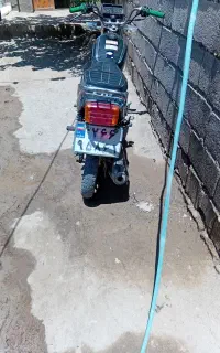نوتور