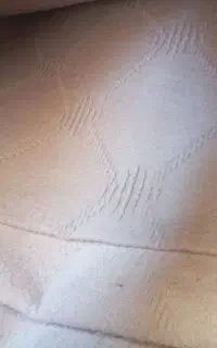 ۲ تیکه موکت بزرگ رنگ کرمی کارکرد