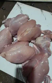 مرغ غذا سگ و حیوانات