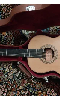 گیتار کلاسیک حرفه ای