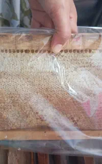عسل کاملا طبیعی و ارگانیک
