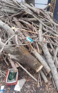 خرید چوب صنوبر  پالت جنگلی محوطه