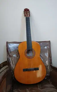 گیتار حرفه ای steiner