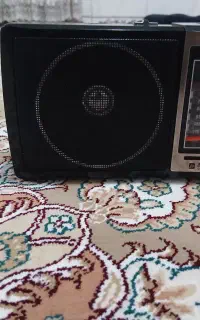 اسپیکر فلش خور