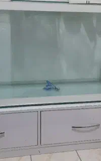 اکواریوم با میزMDF