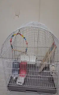 قفس پرنده با تمام لوزام