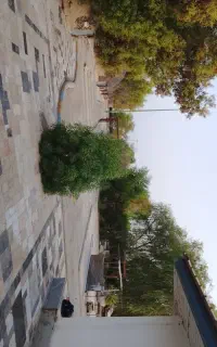 استخدام نگهبان