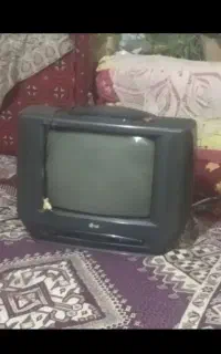 تلویزیون
