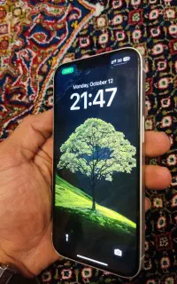 iPhone 13 normal