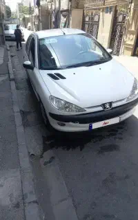 ۲۰۶ اس دی