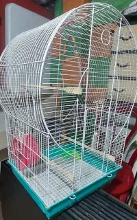 قفس پرنده وطوطی