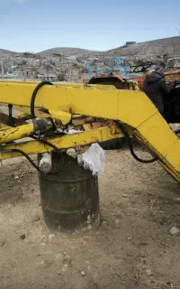 بیل تراکتور رومانی