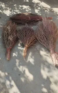 فروش جارو محلی