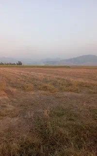 زمین کشاورزی اول جاده سنگ شکن