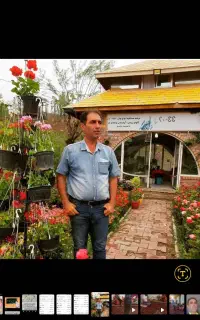 سبد گل