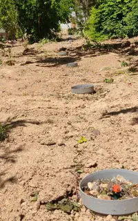 سیستم آبیاری نوین باعملکرد فوق العاده و نتایج عالی