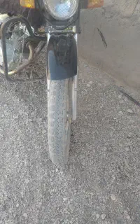 احسان شکاری