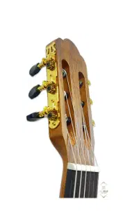 گیتار پالادو CG90