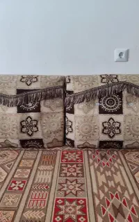 پشتی طبی