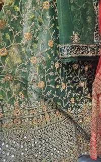 هندی تنوع بالا