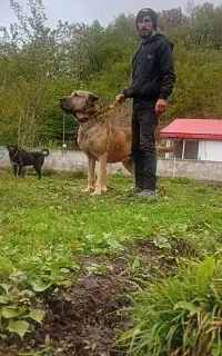 واگذاری