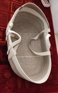 قیطونی حمل نوزاد