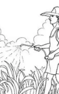 سمپاشی رستوران نانوایی هتل و منزل با ضمانت کتبی