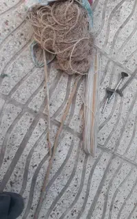 تور سهره گیر سالم سالم ۸ متری