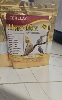 سرلاک پرنده