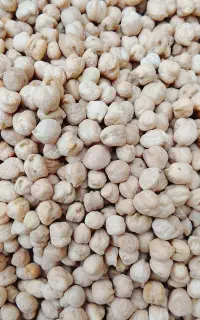 نخود درجه یک بهاره