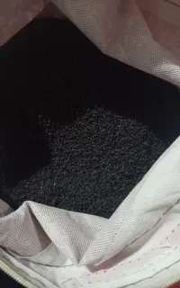 بذر پیاز سایروس