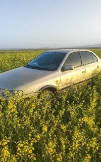 سمند مدل 82 تمام زنگ شاستها  عقب جلو سالم