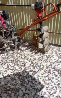 تیلر و گود درخت