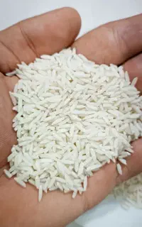 برنج هاشمی درجه یک محصول شخصی